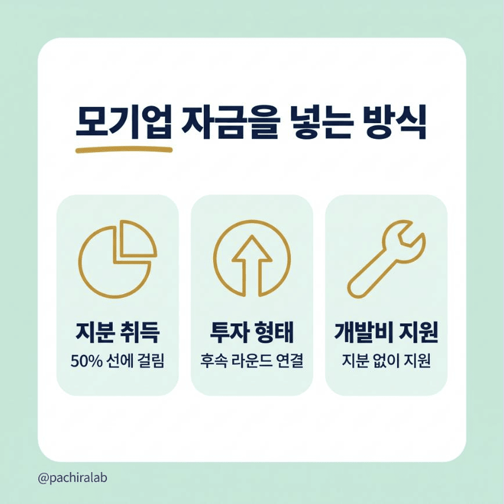 모기업 자금 투입 방식별 비교